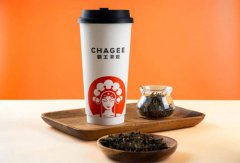 投资一家霸王茶姬店多少钱？全方位解析开店成本